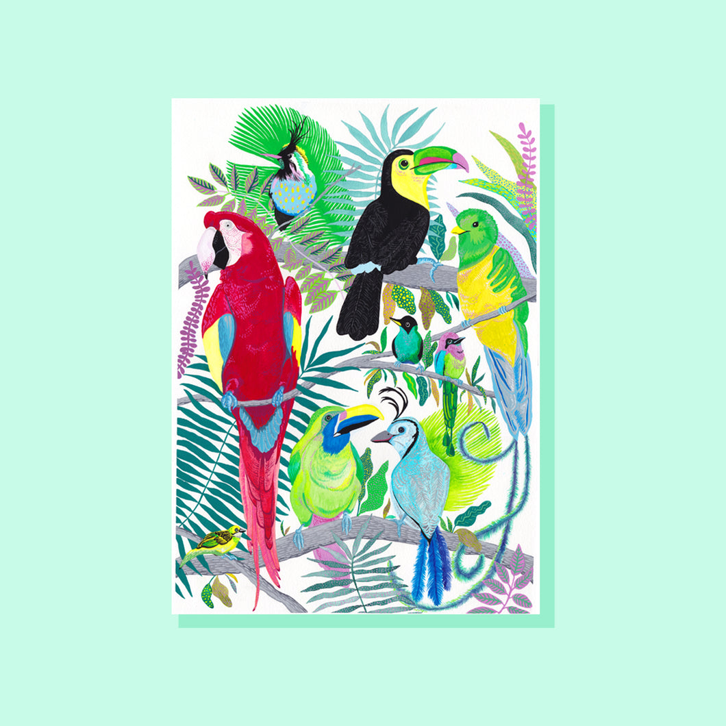EXOTIC BIRDS CARD