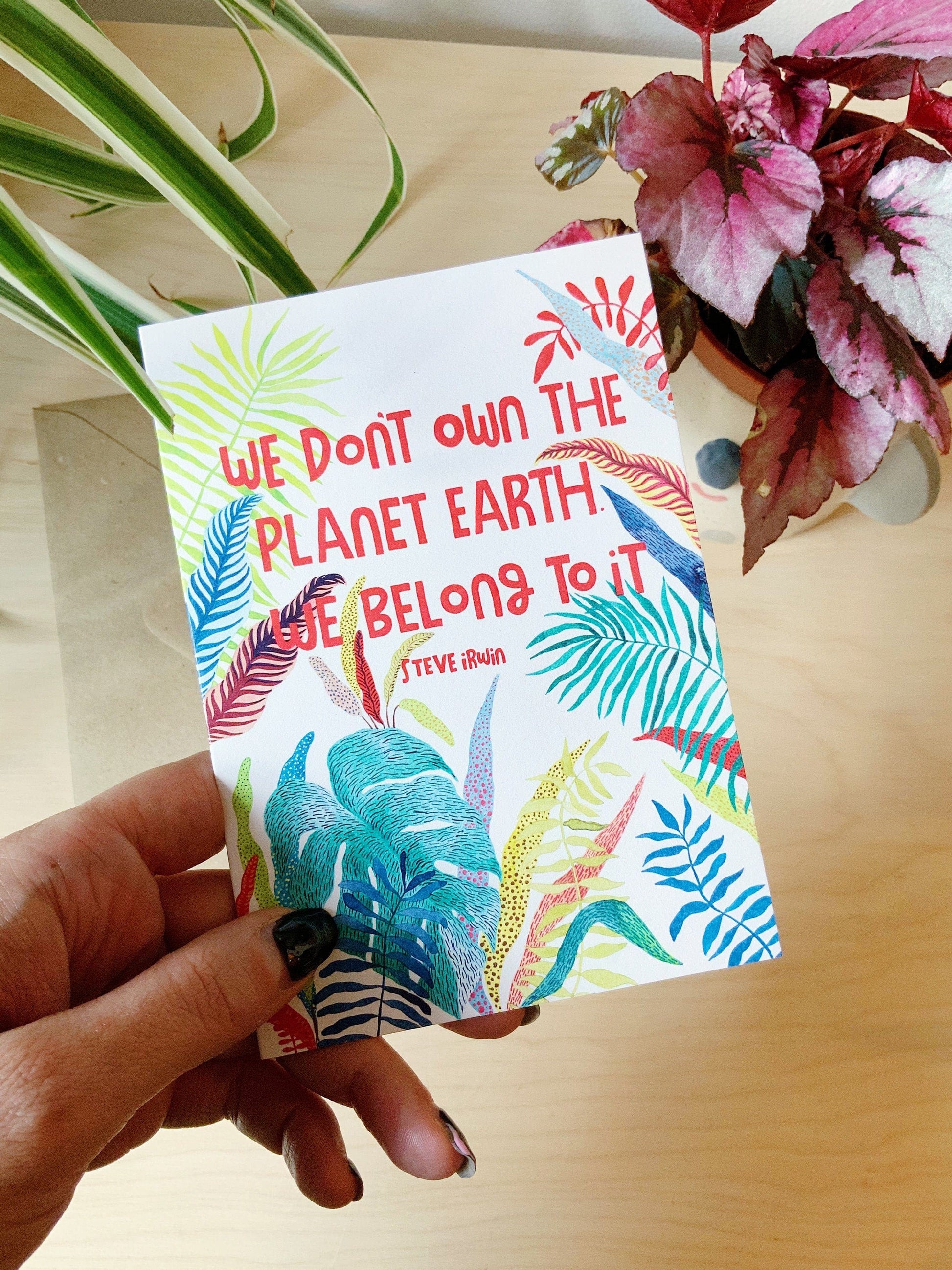 Ali Cottrell Design Greeting & Note Cards STEVE IRWIN QUOTE CARD